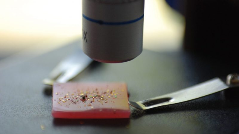 Mikroplastik – die winzige Gefahr