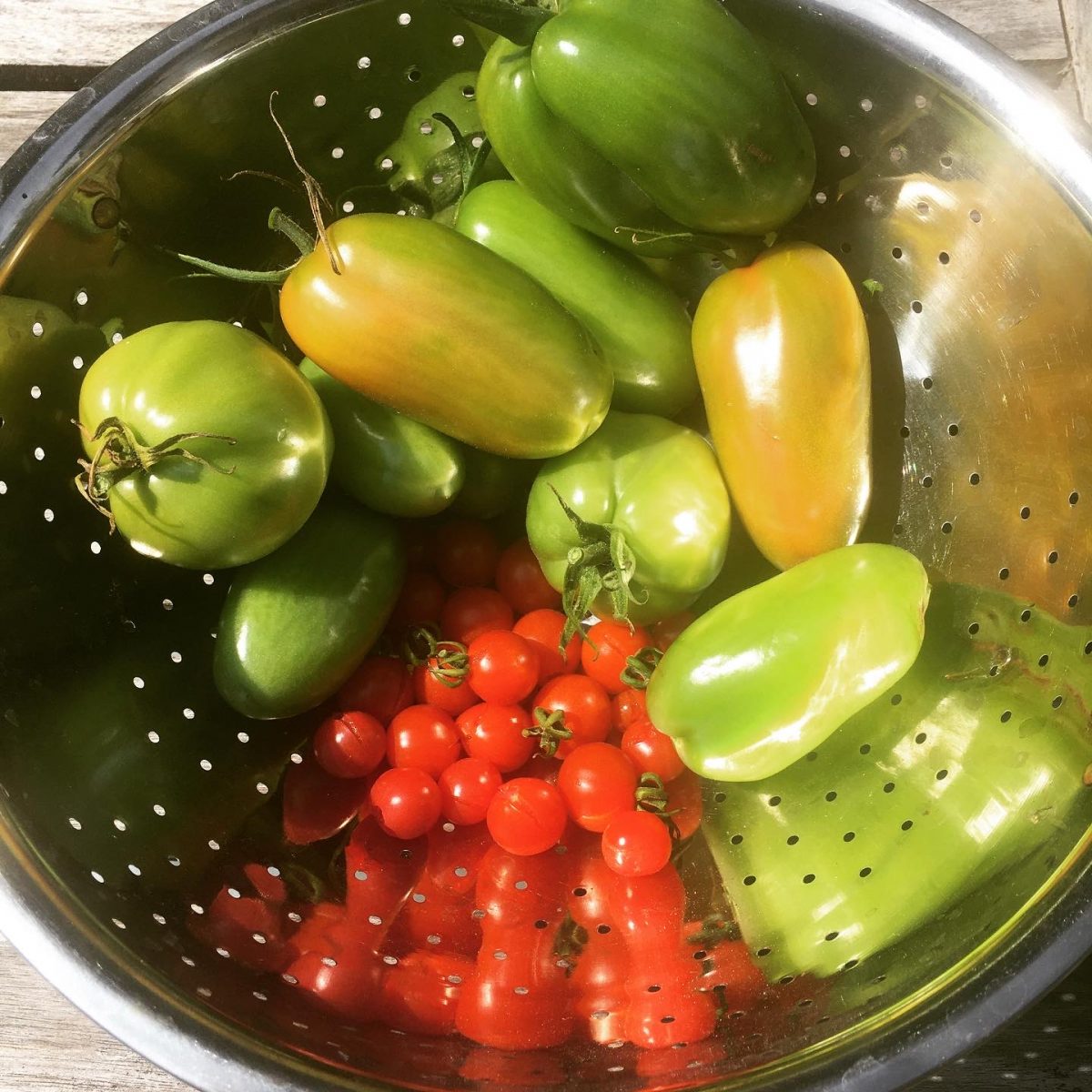 Tomaten können nachreifen