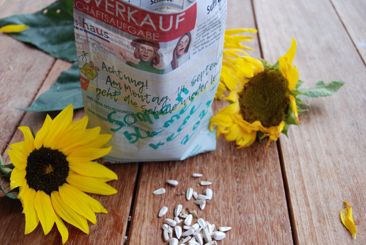 Saatgut – natürliches Konfetti
