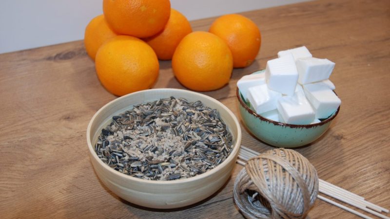 Zum Piepen – Vogelfutter DIY